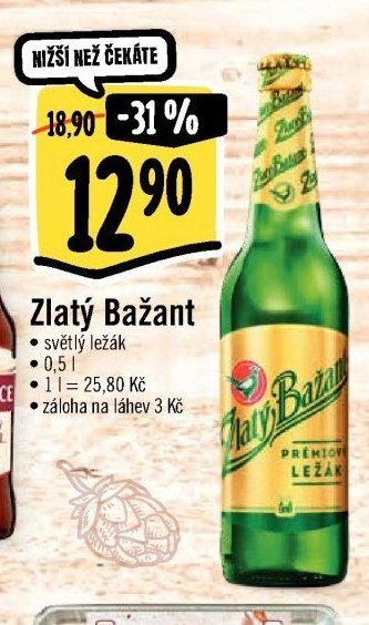 Zlatý Bažant