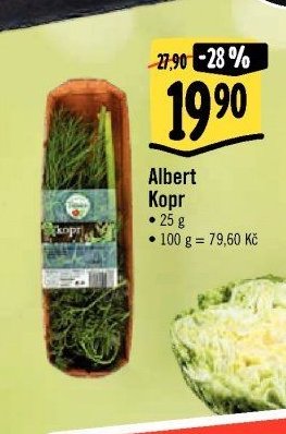 Albert Kopr