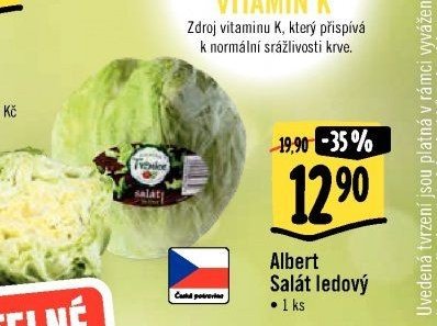 Albert Salát ledový
