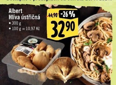 Hlíva ústřičná Albert