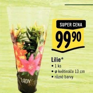 Lilie