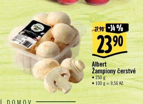 Albert Žampiony čerstvé