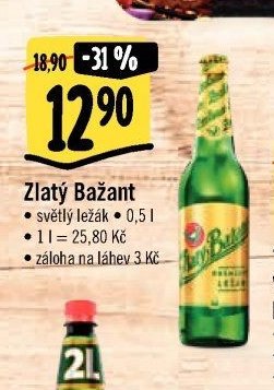 Zlatý Bažant