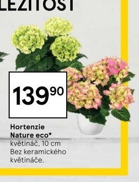 Hortenzie Nature eco*