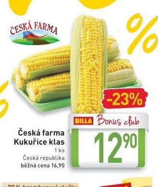 Česká farma Kukuřice klas