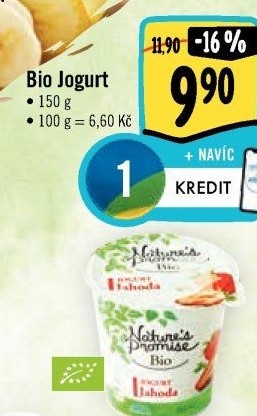 Ochucený jogurt bio Nature'