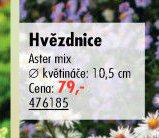 Hvězdnice - UNI HOBBY akcniletaky.com