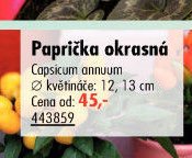 Paprička okrasná - UNI HOBBY akcniletaky.com