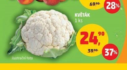 Květák