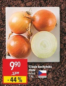 Cibule kuchyňská žlutá