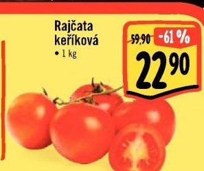 Rajčata keříková