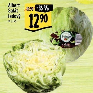 Salát ledový Albert