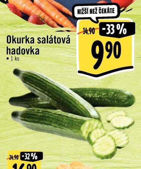 Okurka salátová hadovka