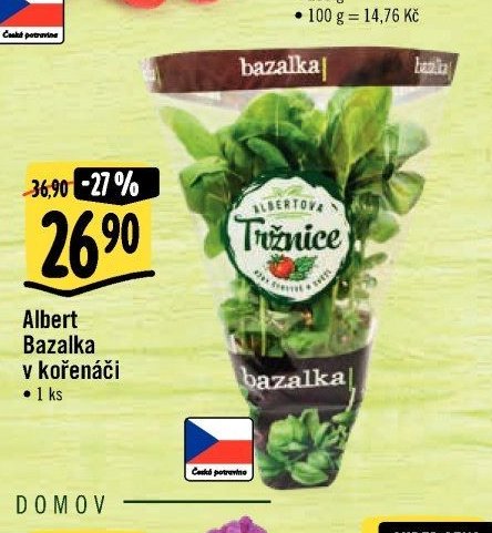 Albert Bazalka v kořenáči