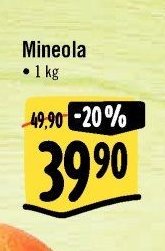 Mineola