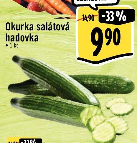 Okurka hadovka