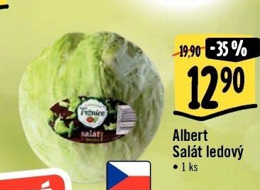 Salát ledový Albert