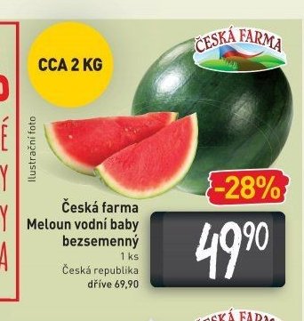 Česká farma Meloun vodní baby bezsemenný