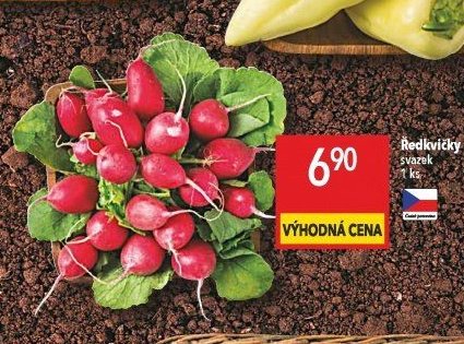 Ředkvičky červené svazek