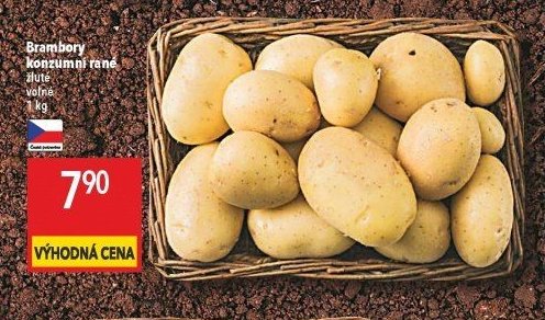 Brambory konzumní rané žluté volné