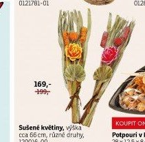 Sušené květiny - ASKO akcniletaky.com