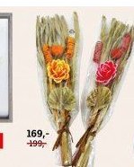 Sušené květy - ASKO akcniletaky.com