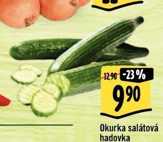 Okurka salátová hadovka