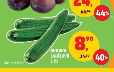 Okurka salátová