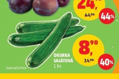 Okurka salátová