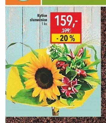 Kytice slunečnice