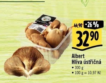 Hlíva ústřičná Albert