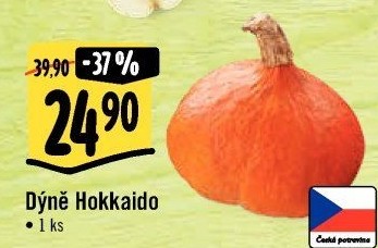 Dýně Hokkaidó