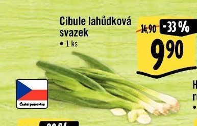 Jarní cibule svazek