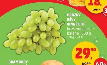 HROZNY RÉVY VINNÉ BÍLÉ
