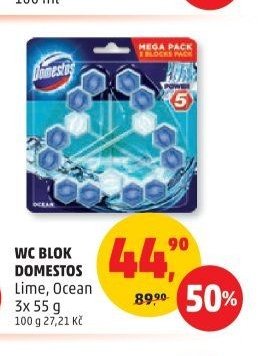 WC blok Domestos