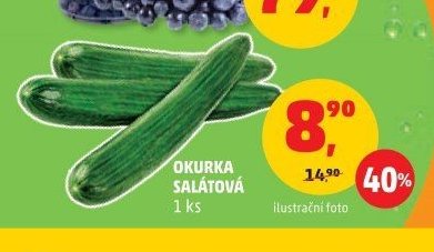 OKURKA SALÁTOVÁ