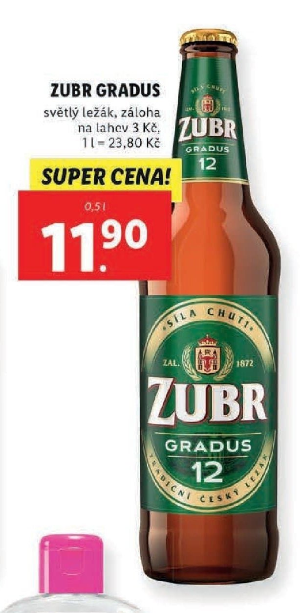 Zubr Gradus