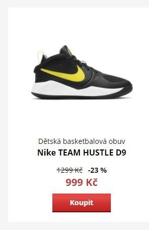 Dětská basketbalová obuv Nike TEAM HUSTLE D9