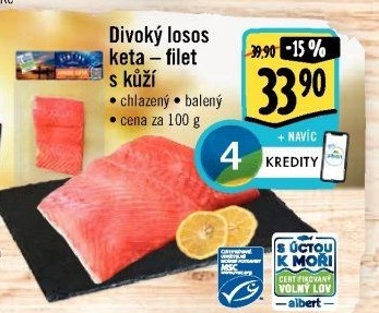 Losos divoký Keta Albert