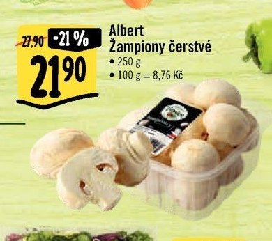 Albert Žampiony čerstvé