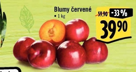 Blumy červené