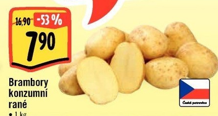 Brambory konzumní rané