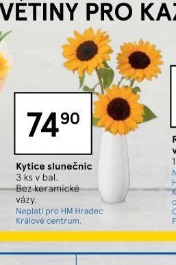 Kytice slunečnic