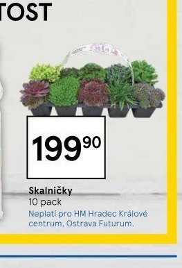 Skalničky