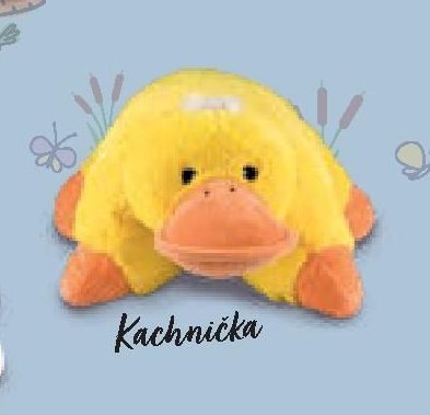PLYŠÁK KACHNIČKA