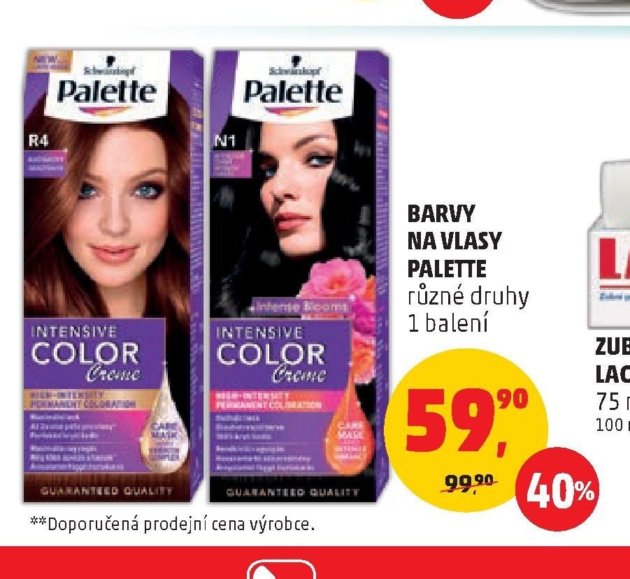 BARVY NA VLASY PALETTE