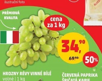 Hrozny révy vinné bílé