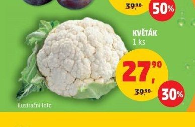 Květák