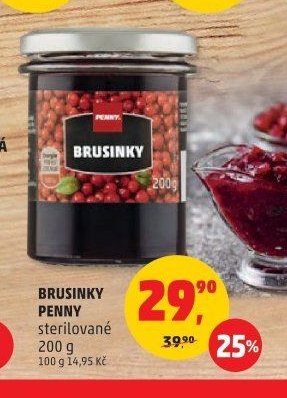 BRUSINKY PENNY