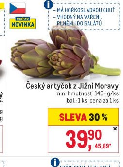 Český artyčok z Jižní Moravy
